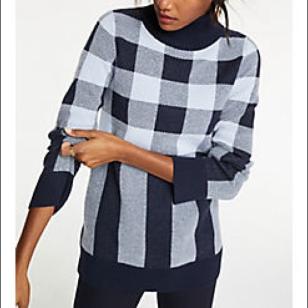Blue Ann Taylor Sweater